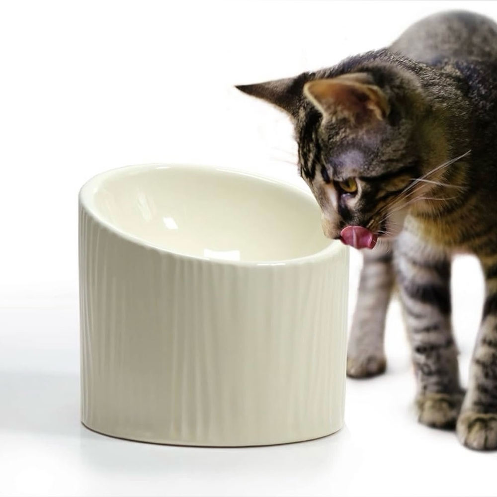 Ceramic Raised/Angled Pet Food Dish